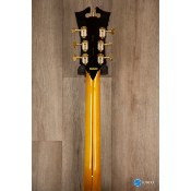 D'angelico Excel EXL-1 Amber