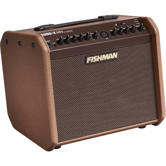 ampli guitare acoustique fishman 60w sur batterie