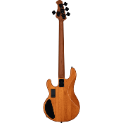 basse electrique sterling by music man ray34 hh pb amber