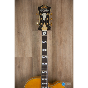 D'angelico Excel EXL-1 Amber