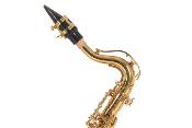 Roy Benson AS-201 - Saxophone Alto Mib pour enfant Student Series