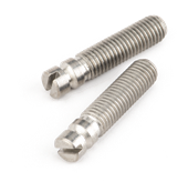 Bridge Pivot Screws, Threaded Steel (2)