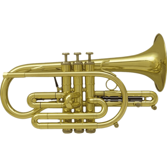 Getzen Eterna 800 - cornet Sib - verni