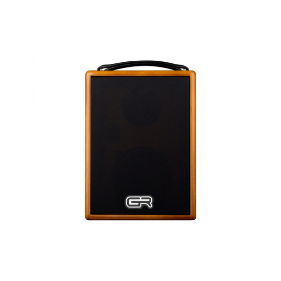 GR GUITAR WD Acoustic 5