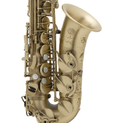 Selmer SUPREME - Saxophone alto Passivé Gravé avec étui et accessoires