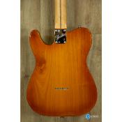 Fender American Performer Telecaster Honey burst